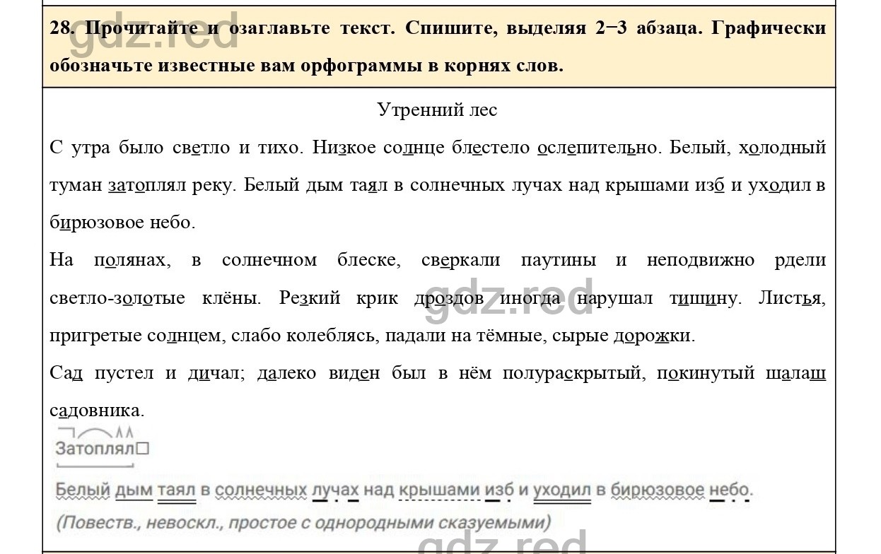 Упражнение 42 - ГДЗ по Русскому языку 6 класс Учебник Ладыженская. Часть 1  - ГДЗ РЕД