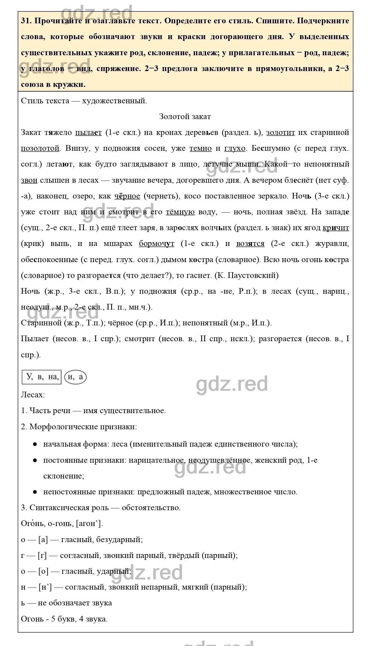 Упражнение 31 - ГДЗ по Русскому языку 6 класс Учебник Ладыженская. Часть 1  - ГДЗ РЕД