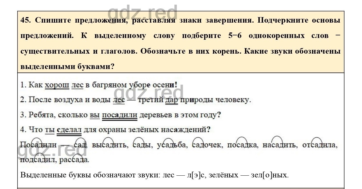 Упражнение 60 - ГДЗ по Русскому языку 6 класс Учебник Ладыженская. Часть 1  - ГДЗ РЕД