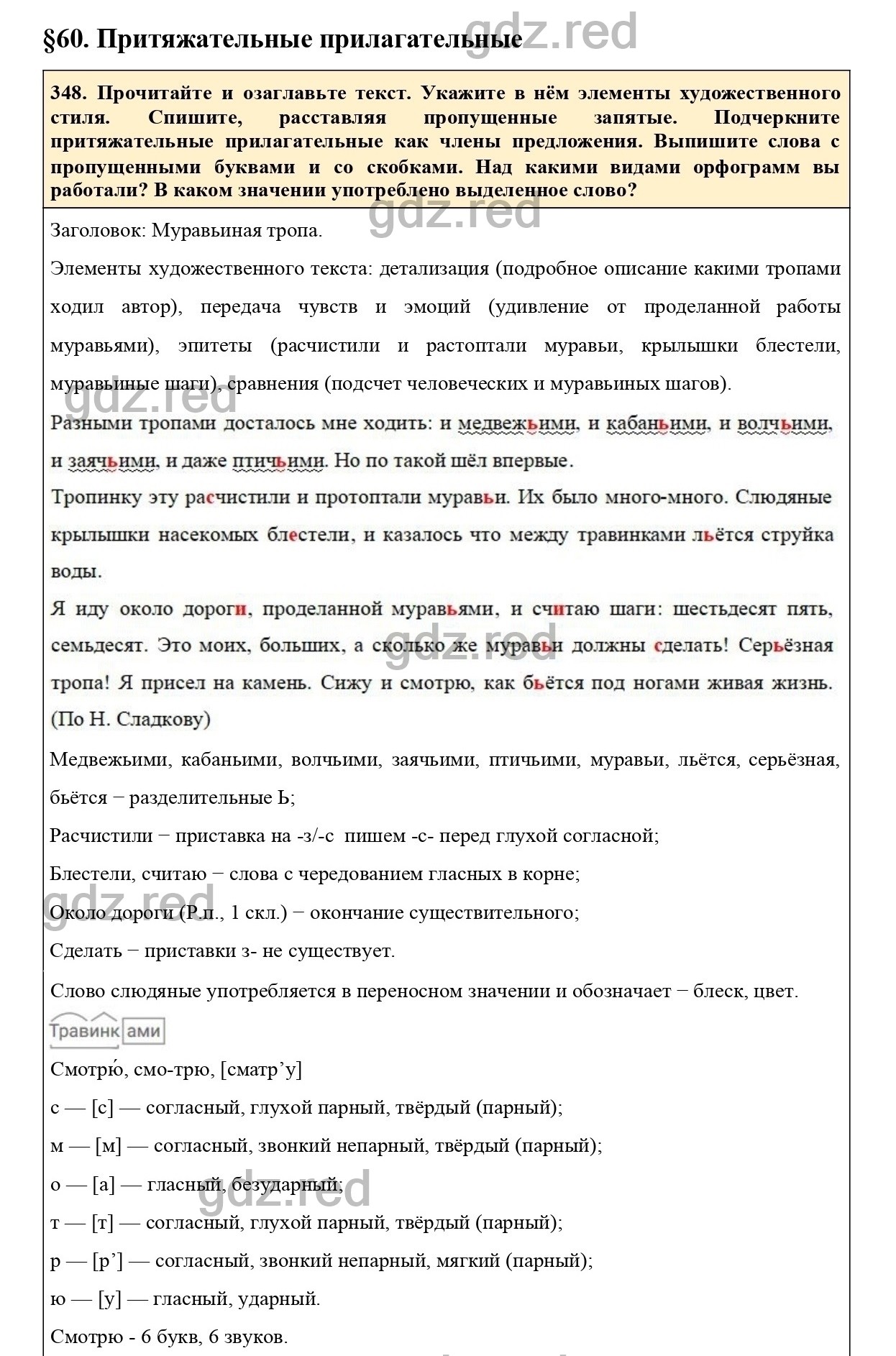 Упражнение 393 - ГДЗ по Русскому языку 6 класс Учебник Ладыженская. Часть 2  - ГДЗ РЕД