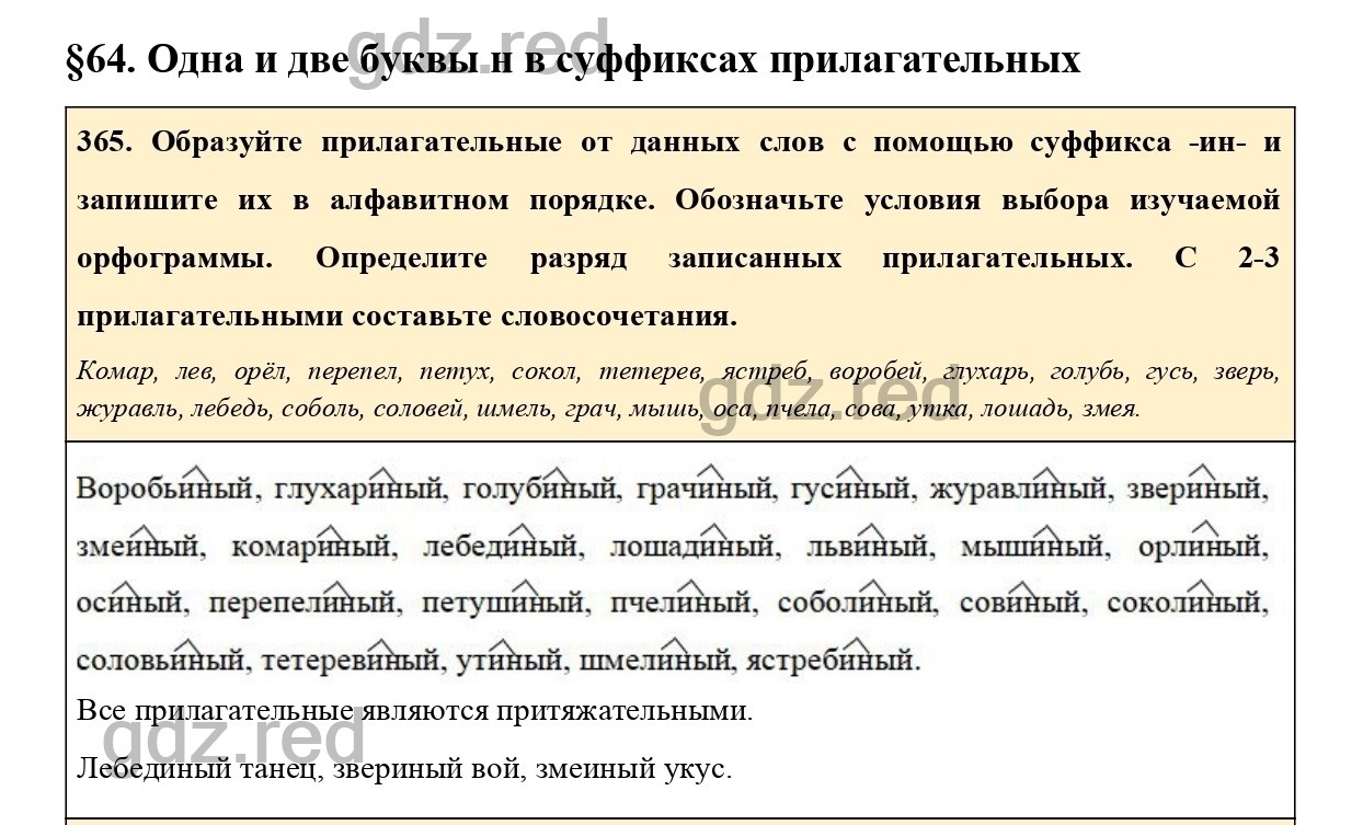 Упражнение 365 - ГДЗ по Русскому языку 6 класс Учебник Ладыженская. Часть 2  - ГДЗ РЕД