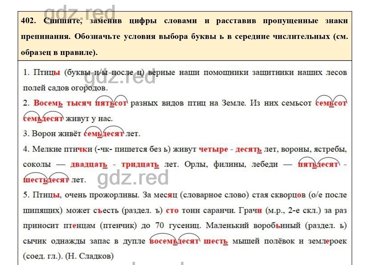 Упражнение 448 - ГДЗ по Русскому языку 6 класс Учебник Ладыженская. Часть 2  - ГДЗ РЕД