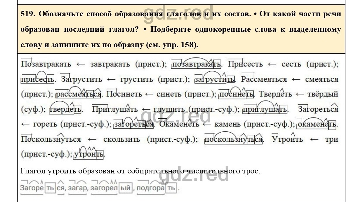 Упражнение 567 - ГДЗ по Русскому языку 6 класс Учебник Ладыженская. Часть 2  - ГДЗ РЕД