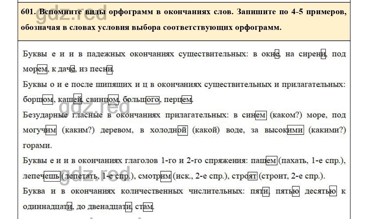 Упражнение 601 - ГДЗ по Русскому языку 6 класс Учебник Ладыженская. Часть 2  - ГДЗ РЕД