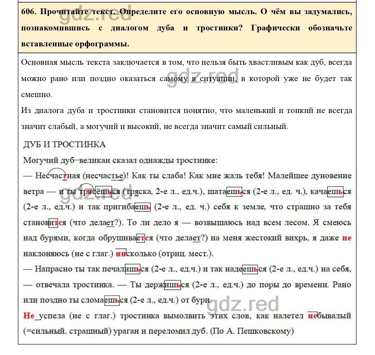 Упражнение 606 - ГДЗ по Русскому языку 6 класс Учебник Ладыженская. Часть 2  - ГДЗ РЕД