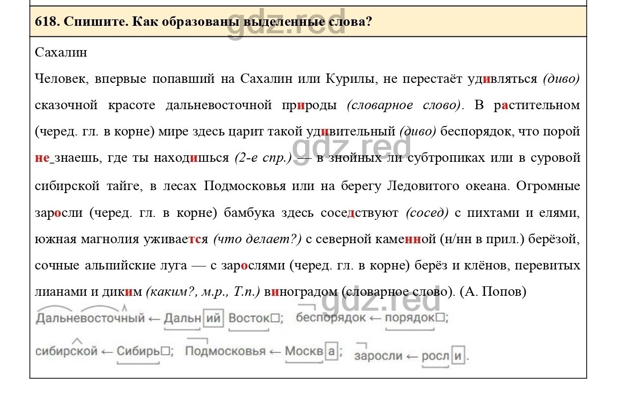 Упражнение 667 - ГДЗ по Русскому языку 6 класс Учебник Ладыженская. Часть 2  - ГДЗ РЕД