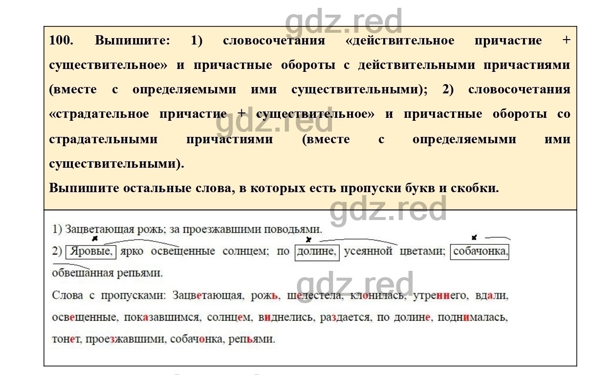 Упражнение 100 - ГДЗ по Русскому языку 7 класс Учебник Ладыженская - ГДЗ РЕД