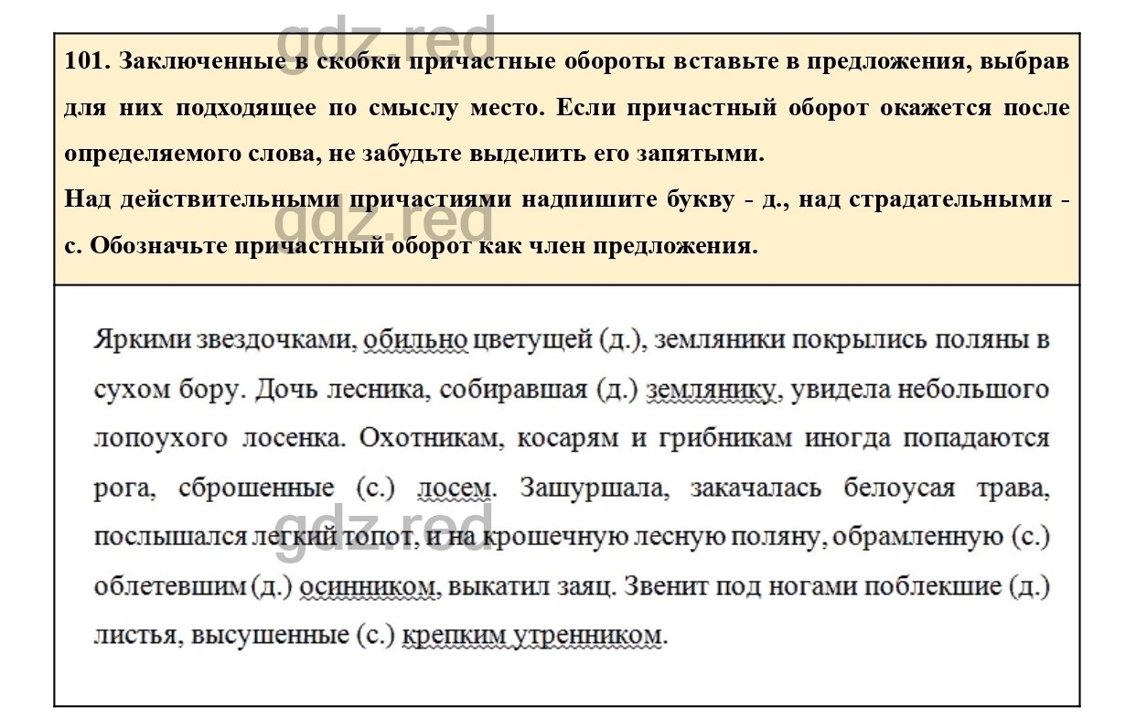 Упражнение 101 - ГДЗ по Русскому языку 7 класс Учебник Ладыженская - ГДЗ РЕД