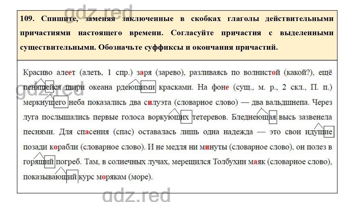 Упражнение 113 - ГДЗ по Русскому языку 7 класс Учебник Ладыженская - ГДЗ РЕД