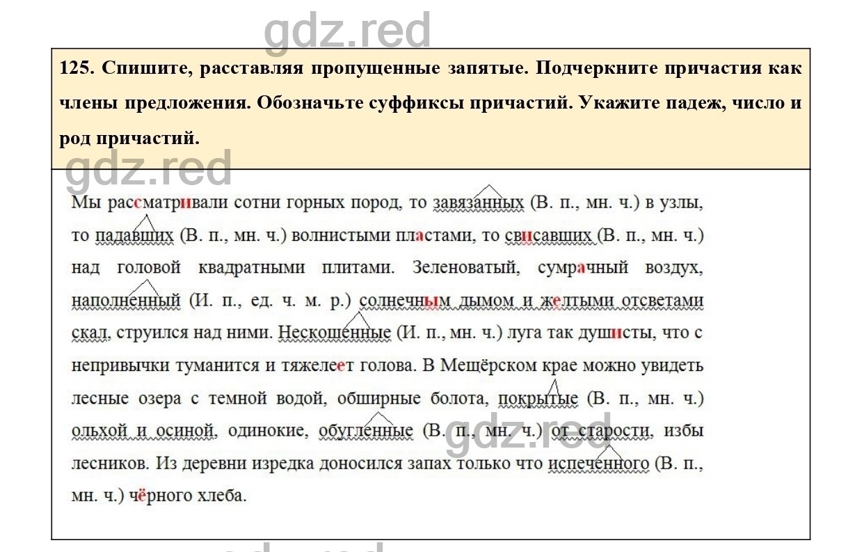 Упражнение 125 - ГДЗ по Русскому языку 7 класс Учебник Ладыженская - ГДЗ РЕД