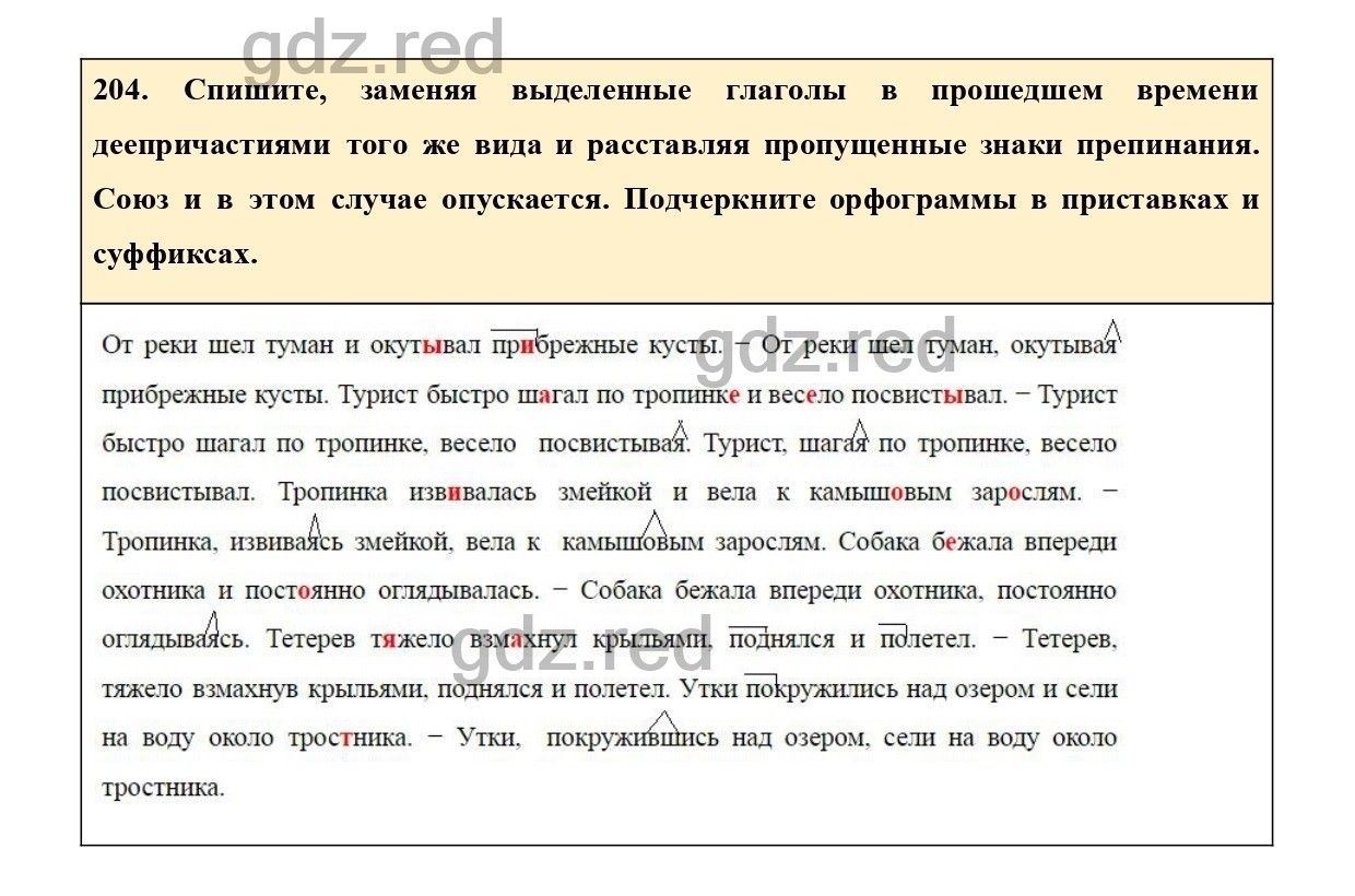 Упражнение 204 - ГДЗ по Русскому языку 7 класс Учебник Ладыженская - ГДЗ РЕД