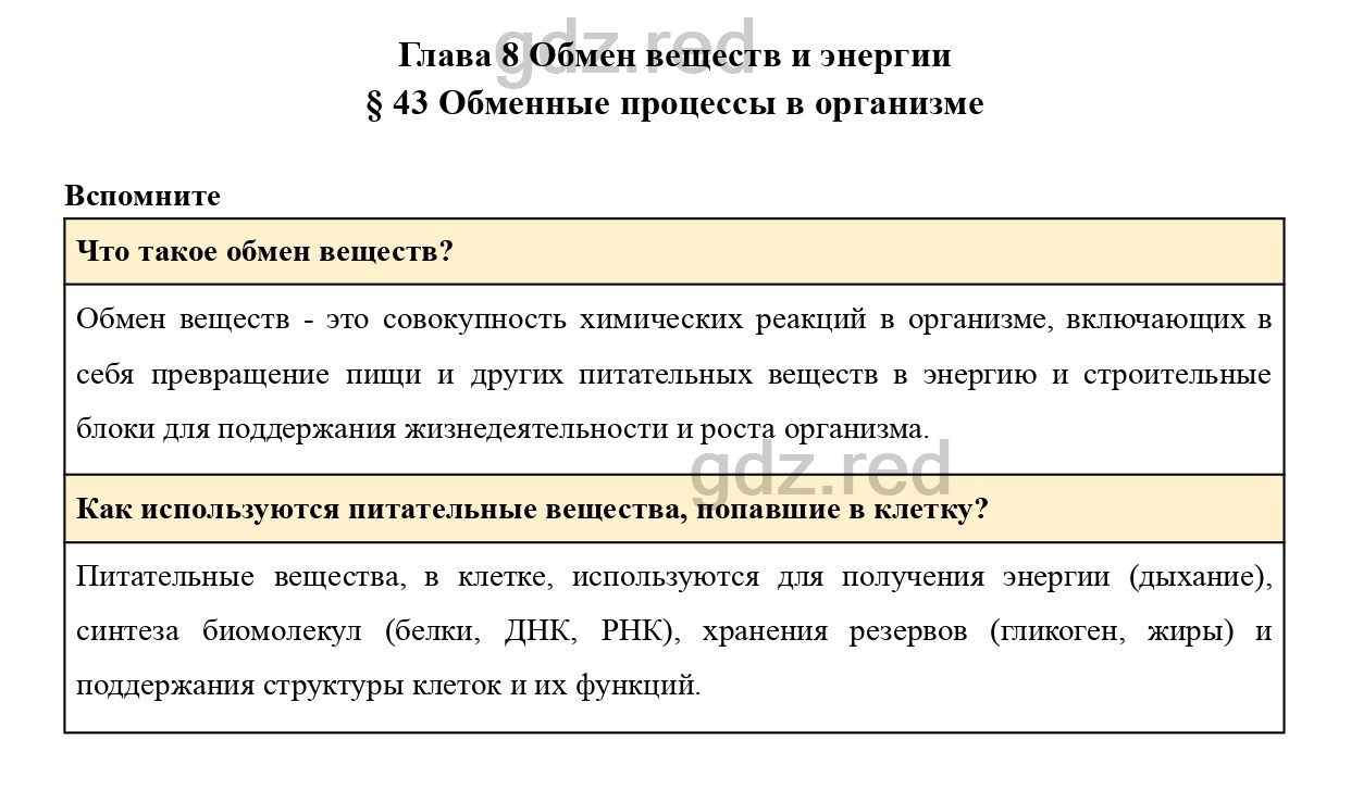 Вопросы к странице 199- ГДЗ Биология 8 класс Учебник Драгомилов, Маш - ГДЗ  РЕД