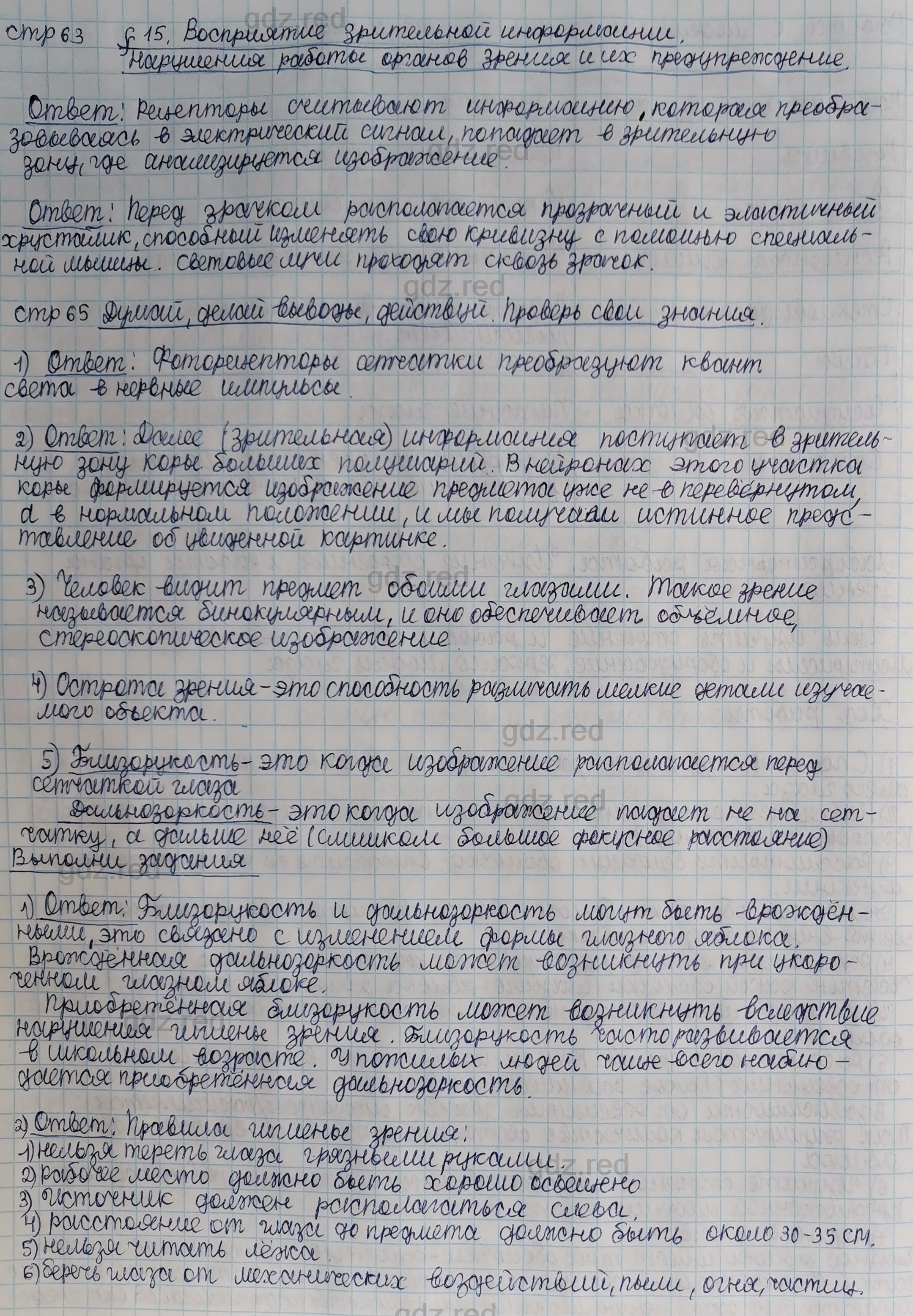 Параграф 15- ГДЗ Биология 8 класс Учебник Сивоглазов, Каменский - ГДЗ РЕД