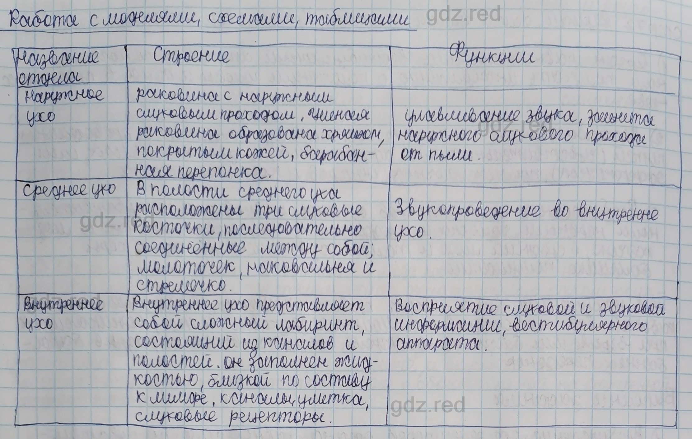 Параграф 16- ГДЗ Биология 8 класс Учебник Сивоглазов, Каменский - ГДЗ РЕД